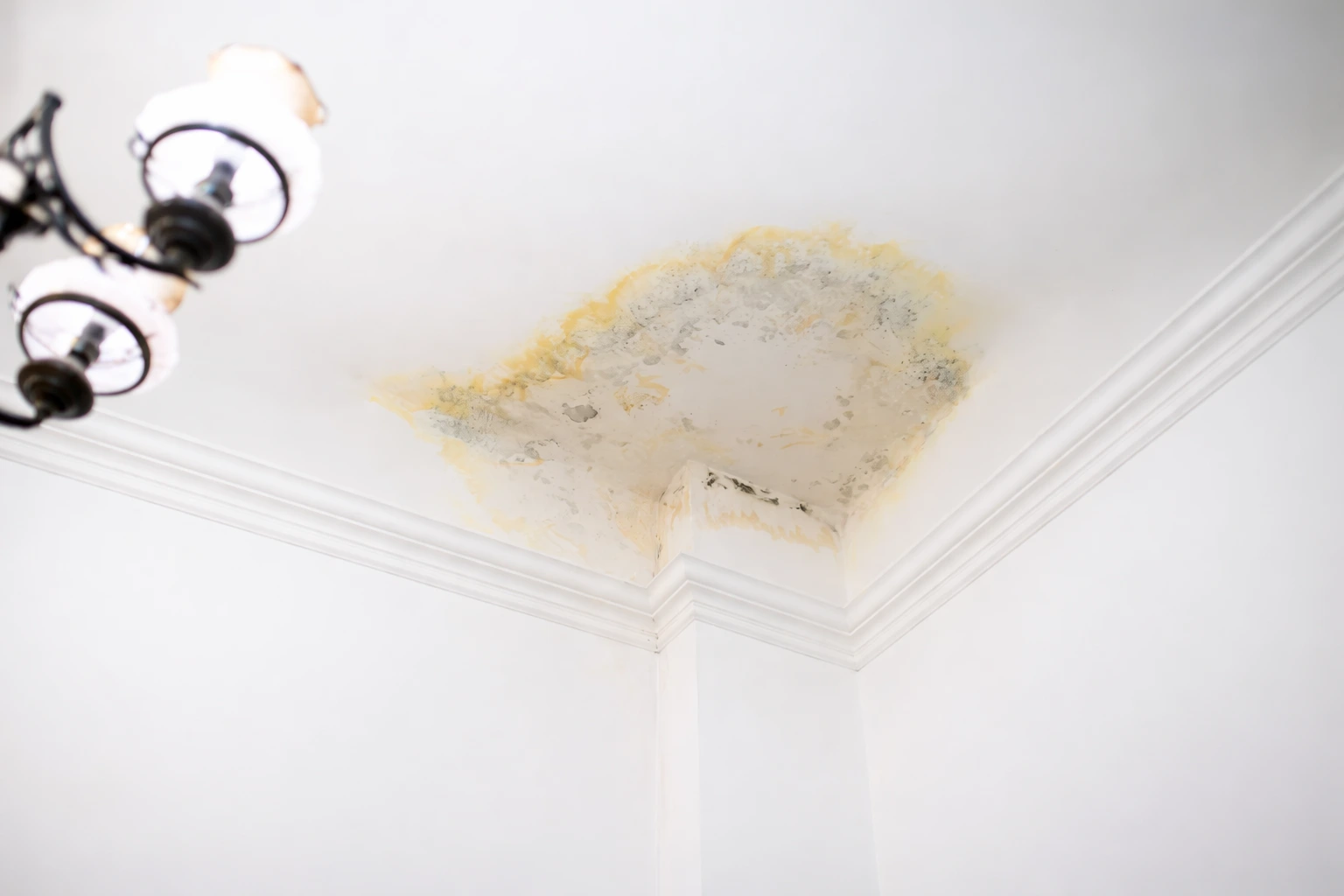 Warning Signs Your Roof Needs Immediate Repair